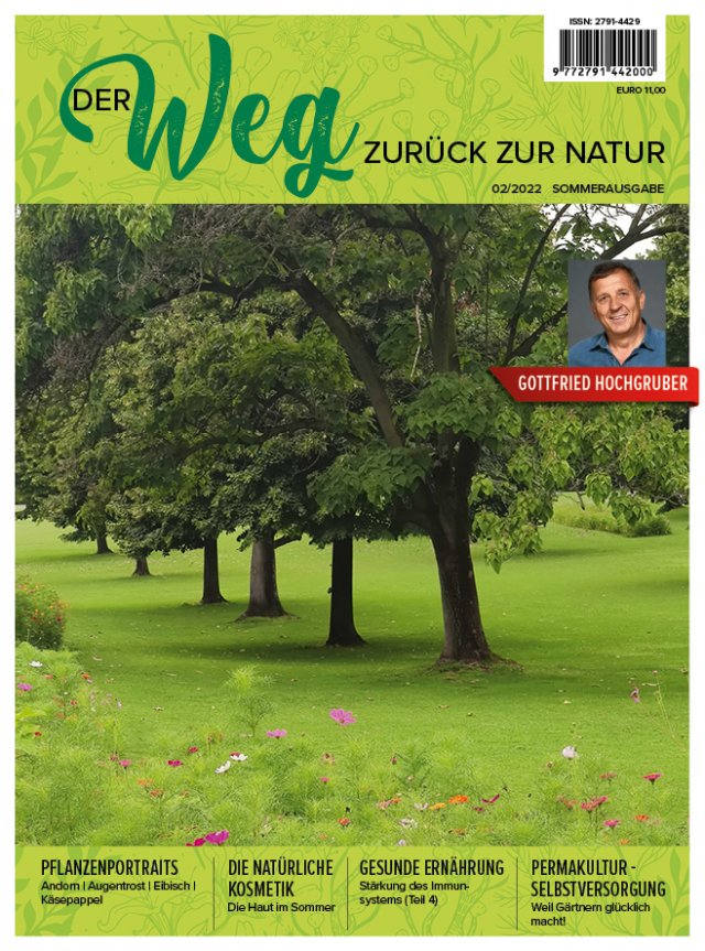 journal_04-in.jpg